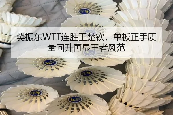 fan-zhen-dong-lian-sheng-wang-chu-qin-dan-ban-zheng-shou-zhi-liang-hui-sheng-zai-xian-wang-zhe-feng-fan-2-503.jpg