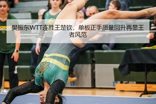 fan-zhen-dong-lian-sheng-wang-chu-qin-dan-ban-zheng-shou-zhi-liang-hui-sheng-zai-xian-wang-zhe-feng-fan-3-978.jpg