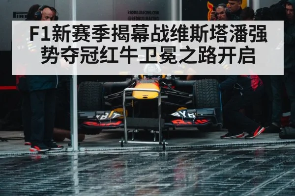 Red Bull Racing pit stop